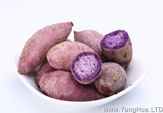 紫薯營養價值比紅薯高嗎