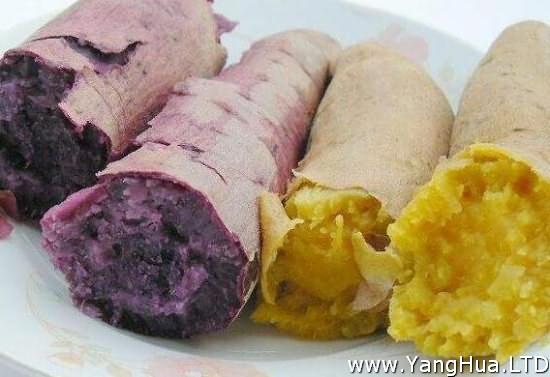 紫薯和紅薯有什麼區別
