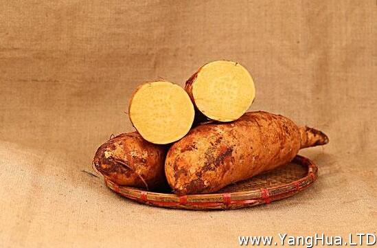 紅薯多少錢一斤